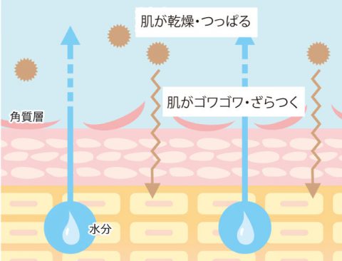 敏感肌の赤みと痒み ニキビケアは根本対策のこことみグループ Cocotomi